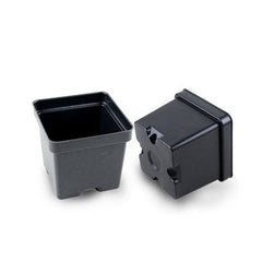 2x2 Inch Square Nursery Pots Pack of 100 Small Plastic Pots for Seedlings & Cuttings
