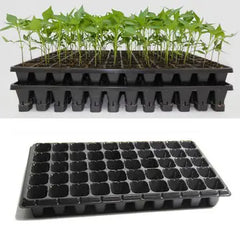 50-Hole Seedling Tray in Pakistan Durable Plastic Nursery Tray for Vegetables, Herbs & Flowers
