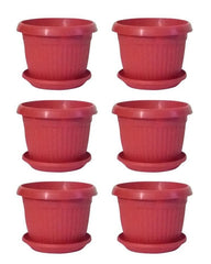 30-Pot Set with Trays 6x6 Inch Flower/Seedling Pots for Commercial or Large Gardens