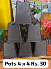 4x4 Inch Square Nursery Pot Single Piece for Herbs, Succulents & Vegetable Seedlings