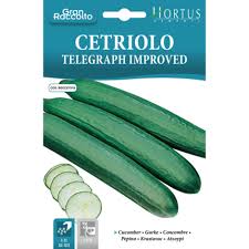 Cetriolo Telegraph Improved Seeds – Long English Cucumber