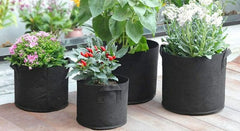 MaxRoot 5 Gallon Grow Bag Heavy-Duty Fabric Pot for Tomatoes, Peppers & Small Shrubs