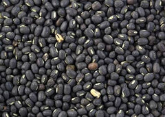 Mash Dal Seeds – Premium Black Gram (Urad Dal) Seeds