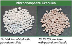 Nitrophosphate Fertilizer-Nitroforous (500 gm) | Phosphorus-Rich Boost for Plant Growth