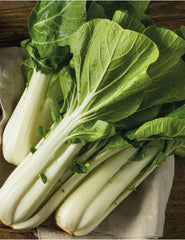 Hybrid Pak Choi Seeds Fast-Growing Asian Greens for Winter Gardening