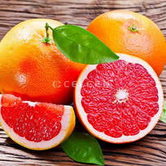 Seedless Grapefruit Plant Premium Citrus Variety for Home Gardens