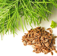 Hybrid Soya ( / Dill) Seeds