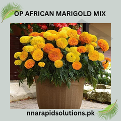 OP African Marigold Mix Tall Seeds in Pakistan Long-Lasting Bright Garden Flowers