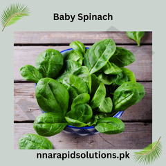 Baby Spinach Hybrid Seeds in Pakistan Fast-Growing Leafy Vegetable Seeds