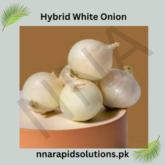 Hybrid White Onion Seeds Strong Growth & High Yield