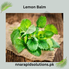 Lemon Balm Hybrid Seeds in Pakistan Aromatic Herb Seeds for Tea & Healing Gardens