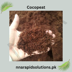 Imported Cocopeat 5KG Block – Premium Coco Coir Growing Medium