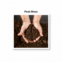 Imported Professional Peat Moss (5 kg)