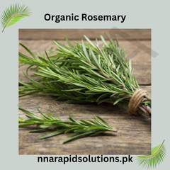 Buy Rosemary Herb Seeds in Pakistan Culinary & Medicinal Plant