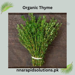 Thyme Herb Seeds / Grow Aromatic & Medicinal Herb