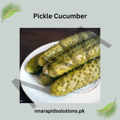 Pickle Cucumber Seeds (Hybrid) – Perfect for Pickling & Home Gardens