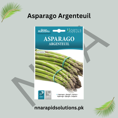 Asparago Argenteuil Seeds – Classic French Asparagus for Home Gardens