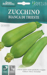 Zucchino Bianca di Trieste Seeds – Italian Zucchini