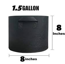 CompactGrow Fabric Bag  1.5 Gallon Size for Herbs, Cuttings & Starter Plants