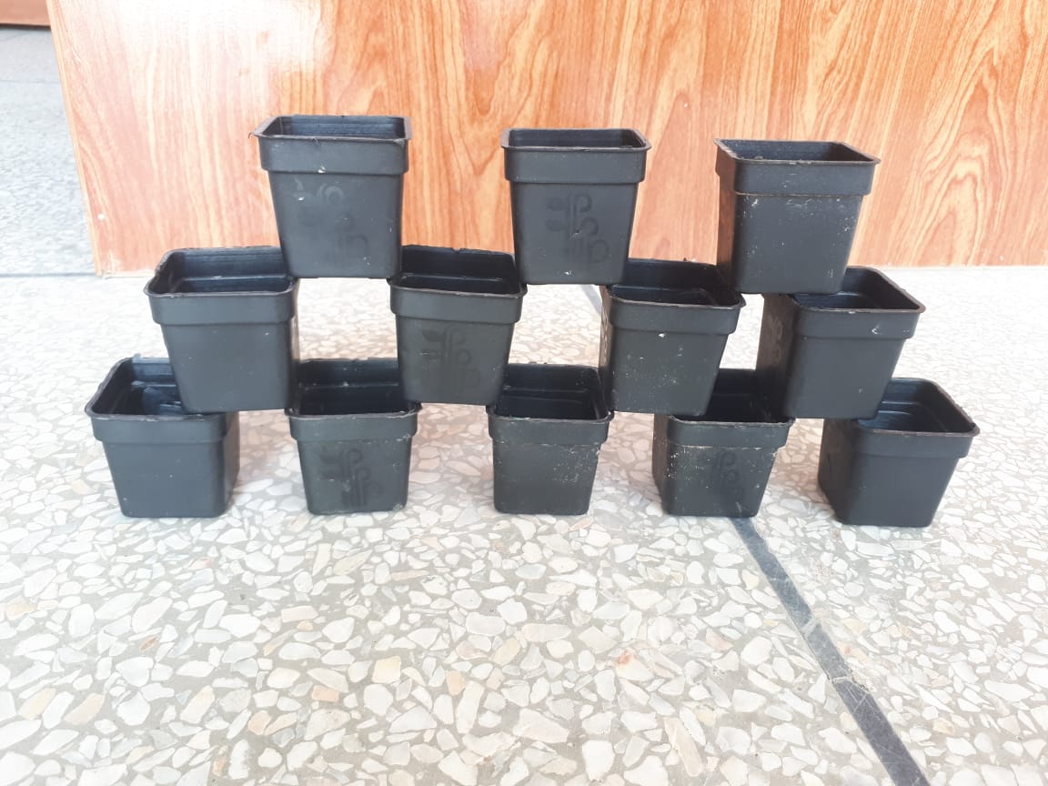 3x3 Inch Small Plastic Pots  Set of 50 for Seedlings or Flowering Plants