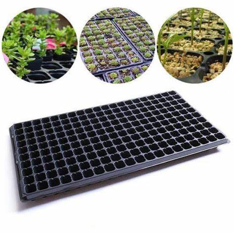 128-Hole Seedling Tray in Pakistan  Professional Nursery Tray for Vegetables, Flowers & Herbs