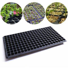 128-Hole Seedling Tray in Pakistan  Professional Nursery Tray for Vegetables, Flowers & Herbs