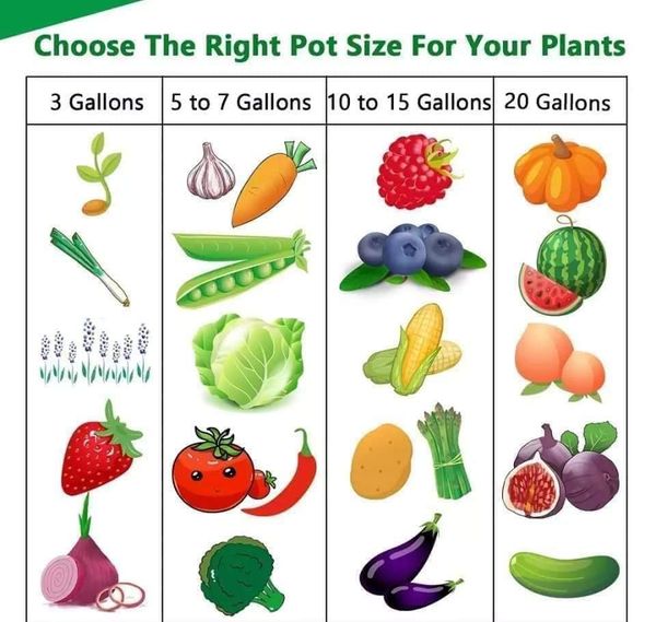 UltraGrow 15 Gallon Fabric Grow Bag  Best for Large Vegetables, Bushy Plants & Dwarf Fruit Trees