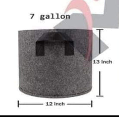 CompactGrow Fabric Bag  1.5 Gallon Size for Herbs, Cuttings & Starter Plants