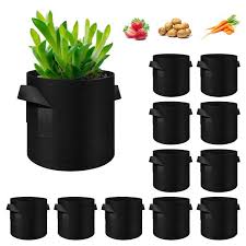 Root Booster Fabric Grow Bag  3 Gallon for Vegetables, Herbs & Flowering Plants