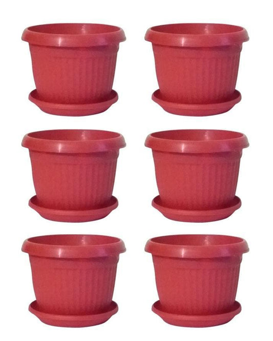 6x6 Inch Flowering/Seedling Pot with Tray  Single Pot for Home Gardening in Pakistan