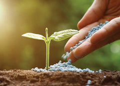 Calcium Nitrate Fertilizer (250 gm) | Strengthen Roots & Prevent Deficiencies