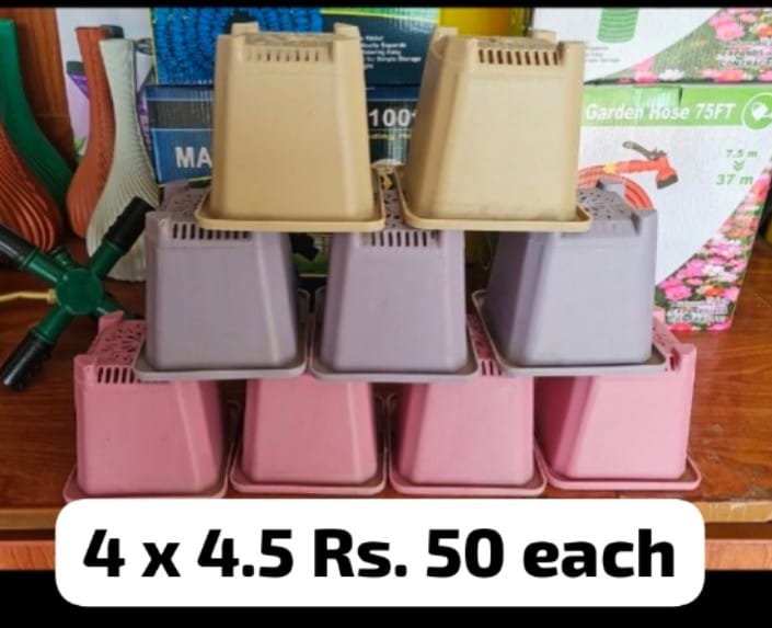 Pack of 100  4x4.5 Inch Square Nursery Pots  Bulk Deal for Nurseries, Sellers & Large Gardens