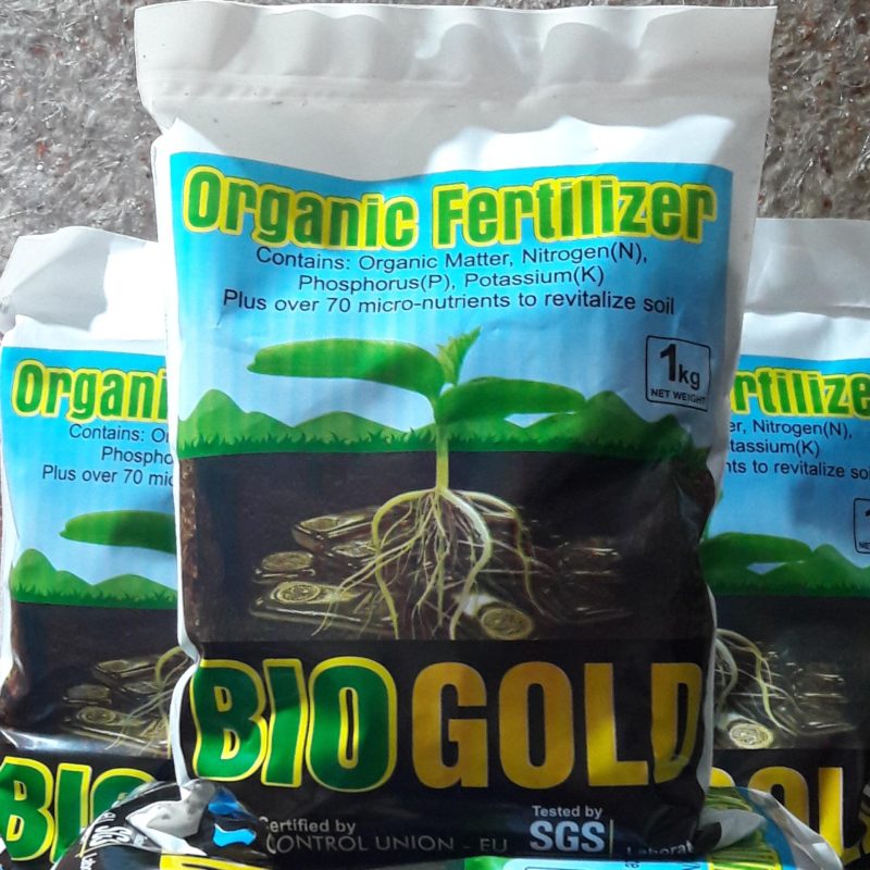Bio Gold Leaf Mould  (5 kg)