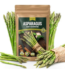 Asparago Argenteuil Seeds – Classic French Asparagus for Home Gardens
