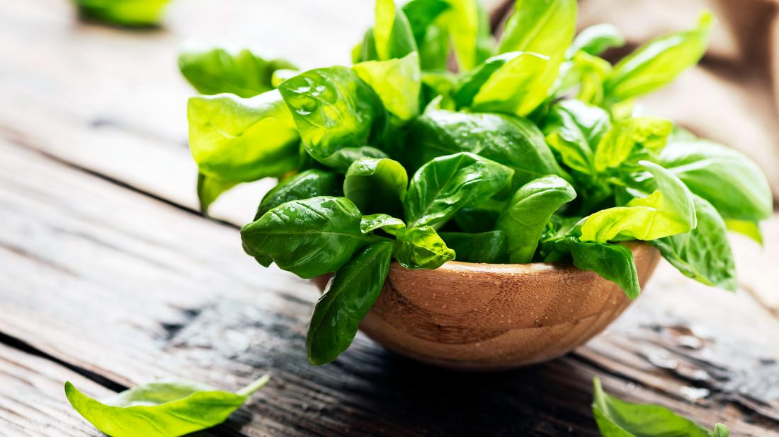 Tulsi/Basil Herb Seeds | Grow Fresh Organic Basil at Home in Pakistan