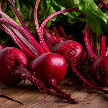 Hybrid Beetroot () Seeds