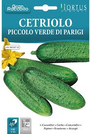 Cetriolo Piccolo Verde di Parigi Seeds – Parisian Pickling Cucumber