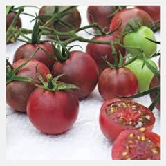 Buy Chocolate Cherry Tomato Hybrid Seeds Online in Pakistan | High Yield Variety
