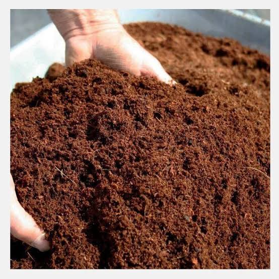 Imported Cocopeat 5KG Block – Premium Coco Coir Growing Medium