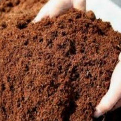imported cocopeat 1 kg