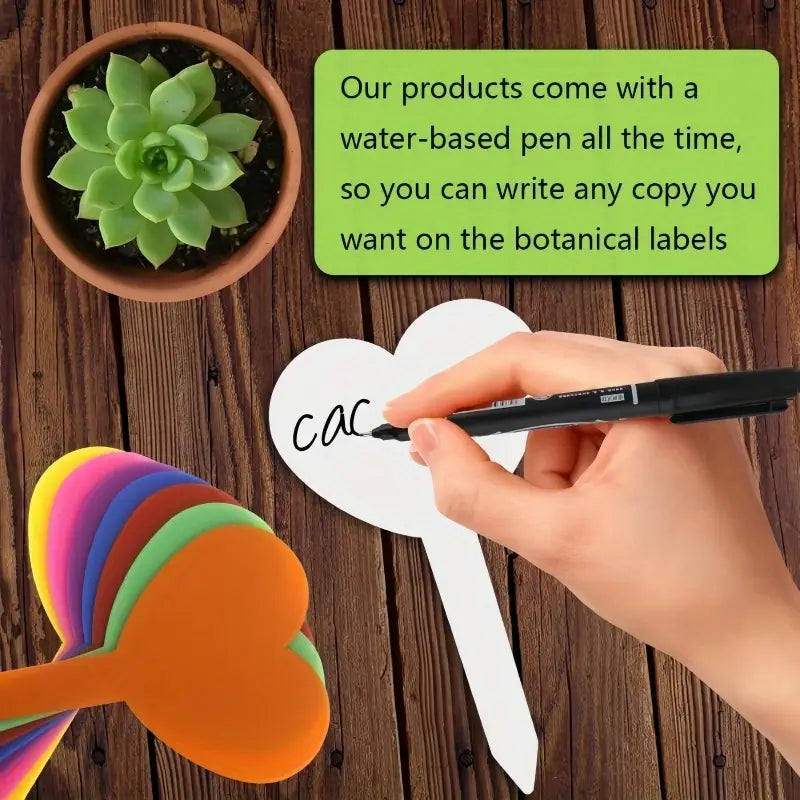 Colourful Plant Tags (Design A)