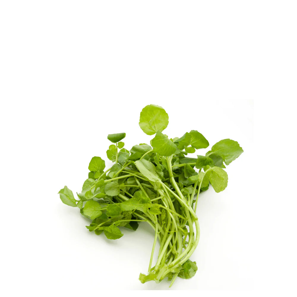 Cress Hybrid Seeds in Pakistan  Fast-Growing Herb Seeds for Kitchen Gardens