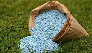 Potash Granular Fertilizer (250 gm) | Boost Flowering & Fruit Development