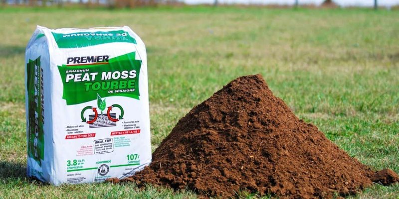 Imported Professional Peat Moss (1 kg)