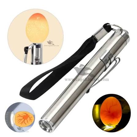 LED Egg Candler Light  Check Egg Fertility Easily | Poultry Tool Pakistan