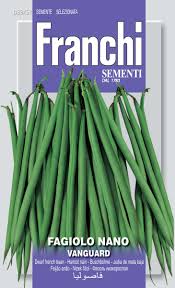 Fagiolo Rocquencourt (Nano) Seeds – French Bush Bean for Kitchen Gardens