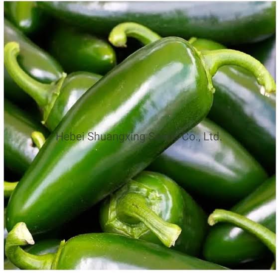 Green Jalapeño Pepper Seeds (Hybrid) – Fresh Spicy Chili