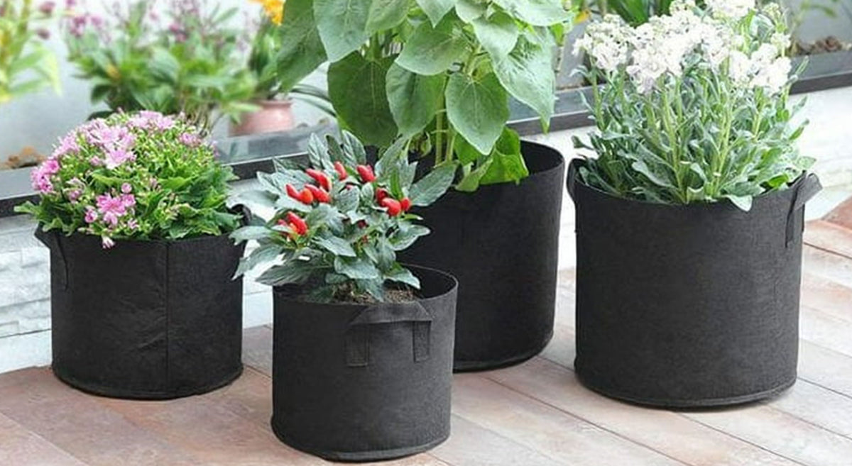 MaxRoot 5 Gallon Grow Bag  Heavy-Duty Fabric Pot for Tomatoes, Peppers & Small Shrubs