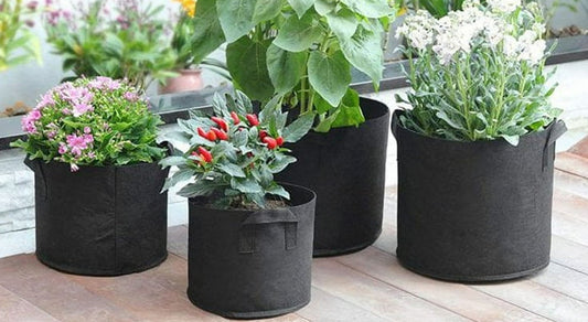 MaxRoot 5 Gallon Grow Bag  Heavy-Duty Fabric Pot for Tomatoes, Peppers & Small Shrubs