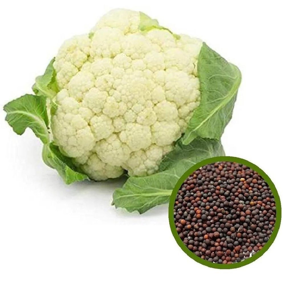 Hybrid Cauliflower ( ) Seeds